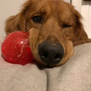 Meet your Posher, Kyle